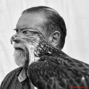 Serena Galvani Libro Aria Uomini Falchi Vela Falconeria