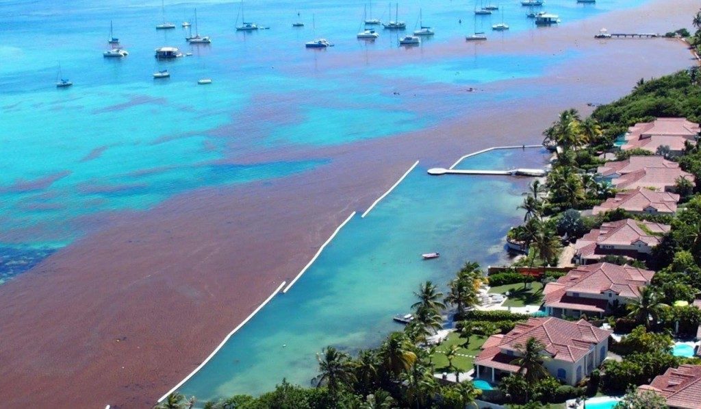 Ocean Cleaner Barriera protezione spiaggia